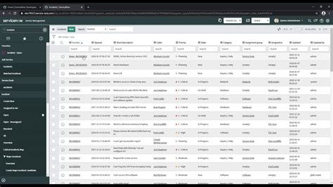 How To Organize Form Sections And Related Lists Into Tabs In Servicenow