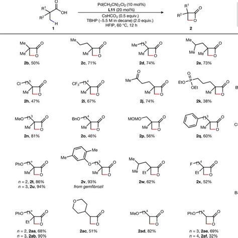 β C Sp³ H Functionalization A Lactonization As A General And Scalable Download Scientific