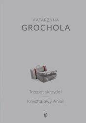 Trzepot Skrzyde Kryszta Owy Anio Grochola Katarzyna Ksi Ka W Empik