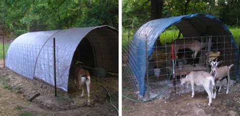 Basic Goat Shelters For Your Homestead Dairy Herd Mother Earth News