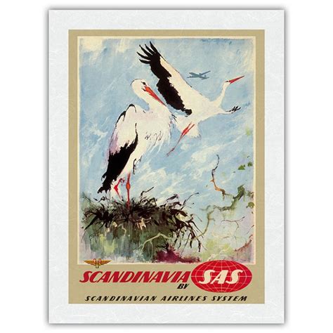 Scandinavia White Storks Sas Scandinavian Airlines System Vintage