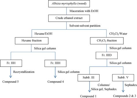 Scielo Brasil Bioactive Components Antioxidant And Anti