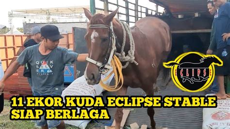 11 Ekor Kuda ECLIPSE STABLE Menuju Pacu Kuda TIGA MAHKOTA DAN PERTIWI