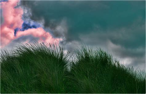 Dunes Kevin Wharton Flickr