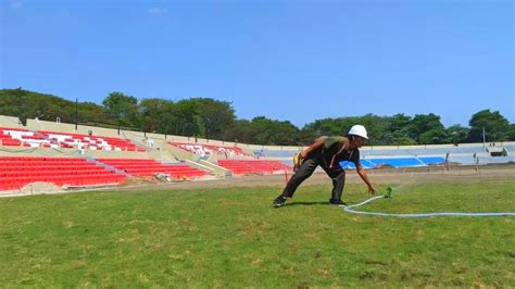 Berkelassingle Seat Terpasang Rumput Diganti Standar Fifa Renovasi