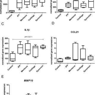 Cytokines Chemokines And Metalloproteinases Gene Expression In K4IM