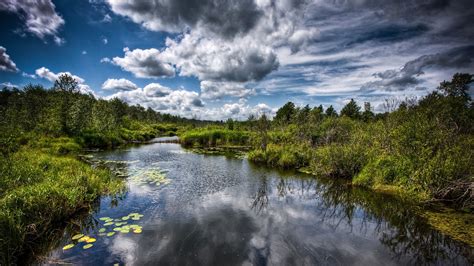 Tapety slunečnímu záření krajina les jezero voda Příroda odraz