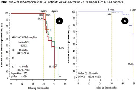 Kaplan Meier Plots A Dfs Stratified By Xrcc1a C194t Polymorphism