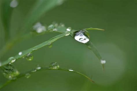 天氣預報：今冬明春雨水多不多？寒露天氣可預兆！看老祖宗咋說？ 每日頭條