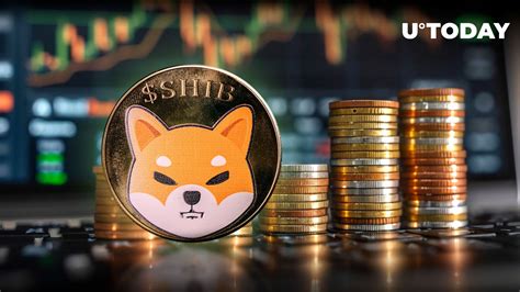 600 Billion Shiba Inu SHIB Tokens In 24 Hours Where Does It All Go