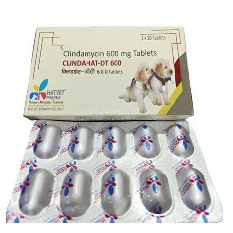 600 mg Clindamycin Tablet at ₹ 62/box | Clindamycin Capsules in ...
