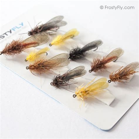 Realistic Stonefly Dry Frostyfly