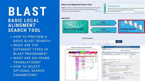 Blast Basic Local Alignment Search Tool Youtube