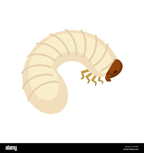 Beetle Larva Isolated Bug Caterpillar Maggot Vector Illustration