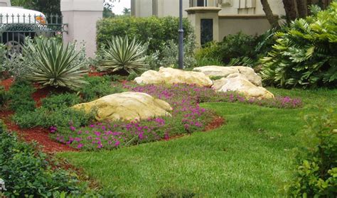 South Florida Flowering Ground Cover Plant Tropical Garden Miami