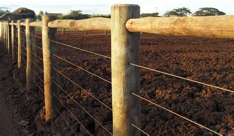 Telas E Cercas De Arame De Alta Qualidade E Melhor Pre O Em Bh