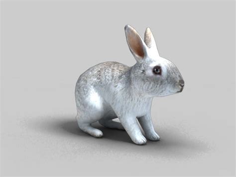 Kaninchen Hase Tier Hase 3d Modell 19 Fbx Free3d