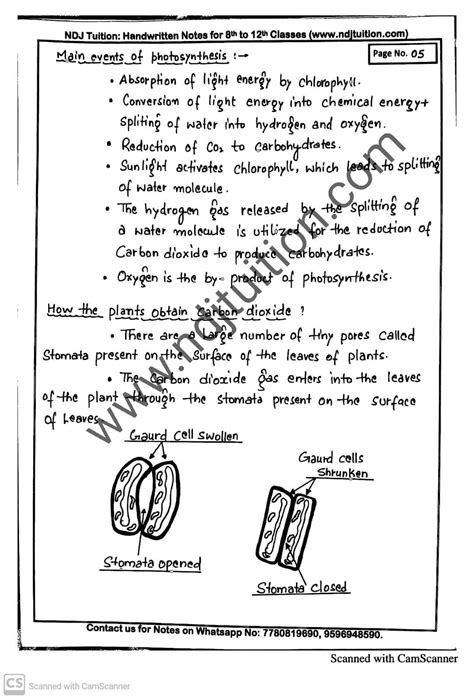 Life Processes Handwritten Notes For Class 10th Artofit