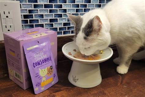 Unbiased Petite Cuisine Cat Food Review Cats