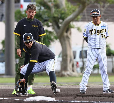 【阪神】鳥谷敬臨時コーチが三塁佐藤輝明に「集中講座」 昨季20失策も「練習すれば良くなる」 プロ野球写真ニュース 日刊スポーツ