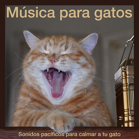 Música para gatos Sonidos pacíficos para calmar a tu gato álbum de