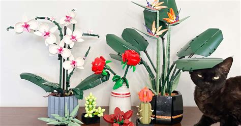 Stop Murdering Houseplants. Try Lego Flowers Instead - for the adult (or kid) Lego Lover ...