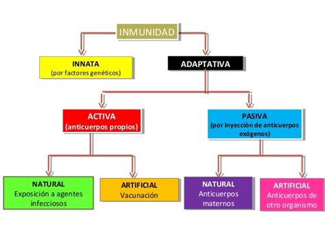 Sistem Inmune Innata Y Adquirida