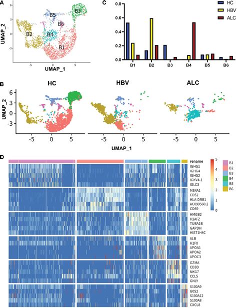 Frontiers Single Cell Rna Transcriptomics Reveals Differences In The