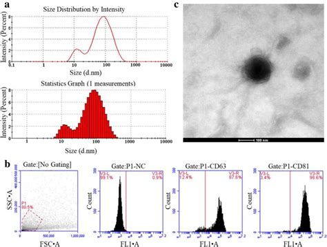 Identification Of Differentially Expressed Circulating Exosomal Lncrnas