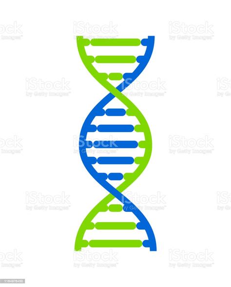 Abstract Dna Strand Symbol Isolated On White Background Vector Concept