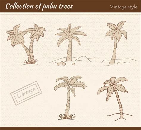 Outline Palm Trees Set ⬇ Vector Image By © Sunshineart Vector Stock