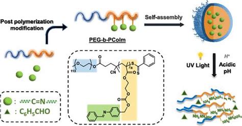 Synthesis And Dual Acid Light Responsive Disassembly Of Amphiphilic