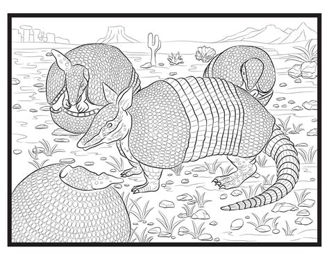 Armadillo Single Coloring Page Etsy