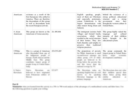 Solution Multicultural Matrix And Analysis Worksheet Studypool