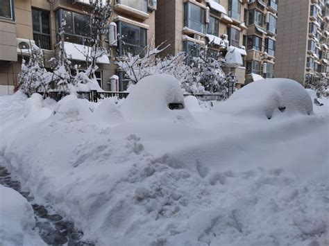 东北特大暴雪已超一米，全面超越2007！分析：恰恰和全球变暖有关腾讯新闻