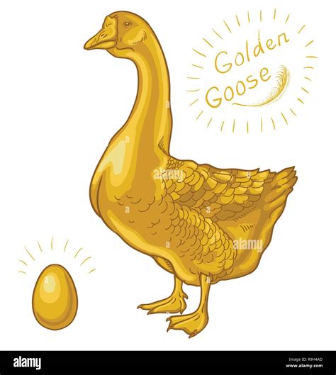 Golden Goose Goose On A White Background Golden Egg Stock Vector Image And Art Alamy