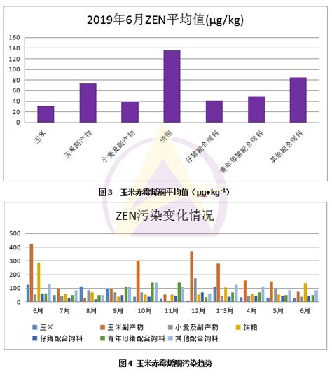 2019年6月 霉菌毒素污染分析江苏奥迈生物科技有限公司