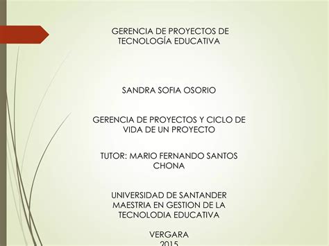 Gerencia De Proyectos Y Ciclo De Vida De Un Proyecto Ppt