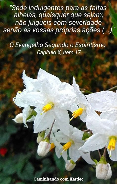 O Evangelho Segundo O Espiritismo Cap X Item 12 Evangelho