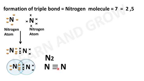 How Many Bonds Does Nitrogen Form - Asking List