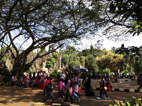 Alasan Berwisata Ke Taman Margasatwa Ragunan