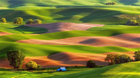 Steptoe Butte State Park - backiee