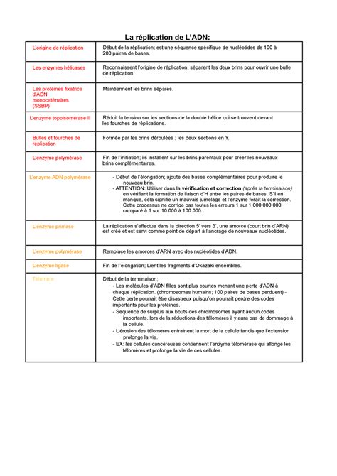 Replication De L Adn Google Docs La R Plication De Ladn Lorigine