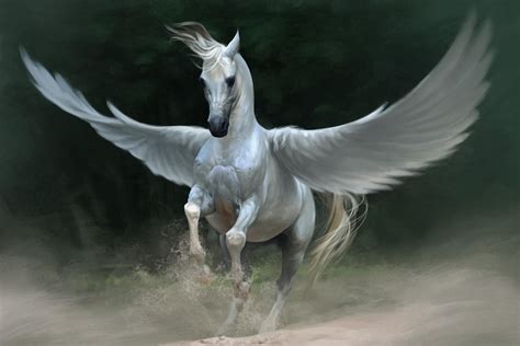 Fondos De Pantalla Pegaso Caballo Alas 1920x1280 Wallup 1051494