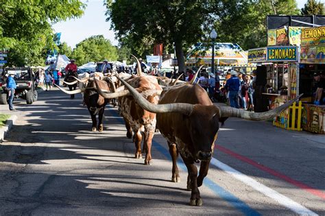 greeley stampede kids rodeo applications