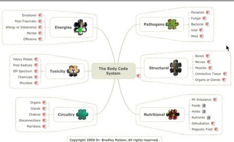 Using The Body Code And Emotion Code I Identify And Release The