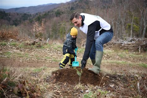 Ionel Bogdan Dragi Maramure Eni N Aceast Prim Var N Loc De Un