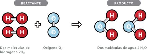 Unidad Didáctica 3 La Química Del Cuerpo Humano Licenciatura En