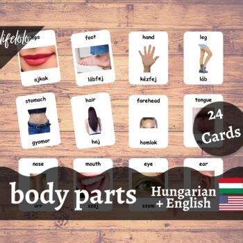 Body Parts Real Hungarian English Bilingual Flash Cards Body Parts