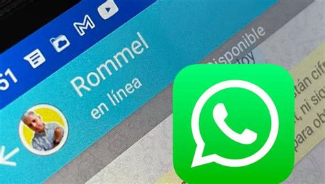 Whatsapp Estaría Preparando Una Función Para Que Nadie Vea El Estado